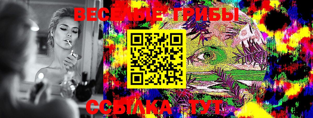 Галлюциногенные грибы GOLDEN TEACHER  Вход с VPN  Новороссийск 